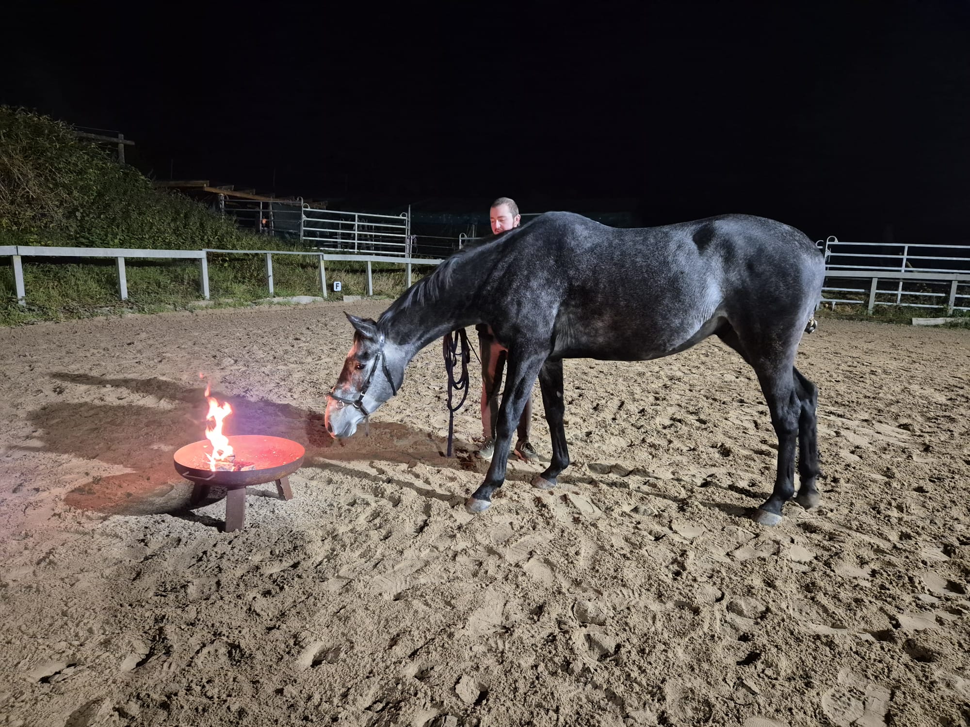 Feuertraining