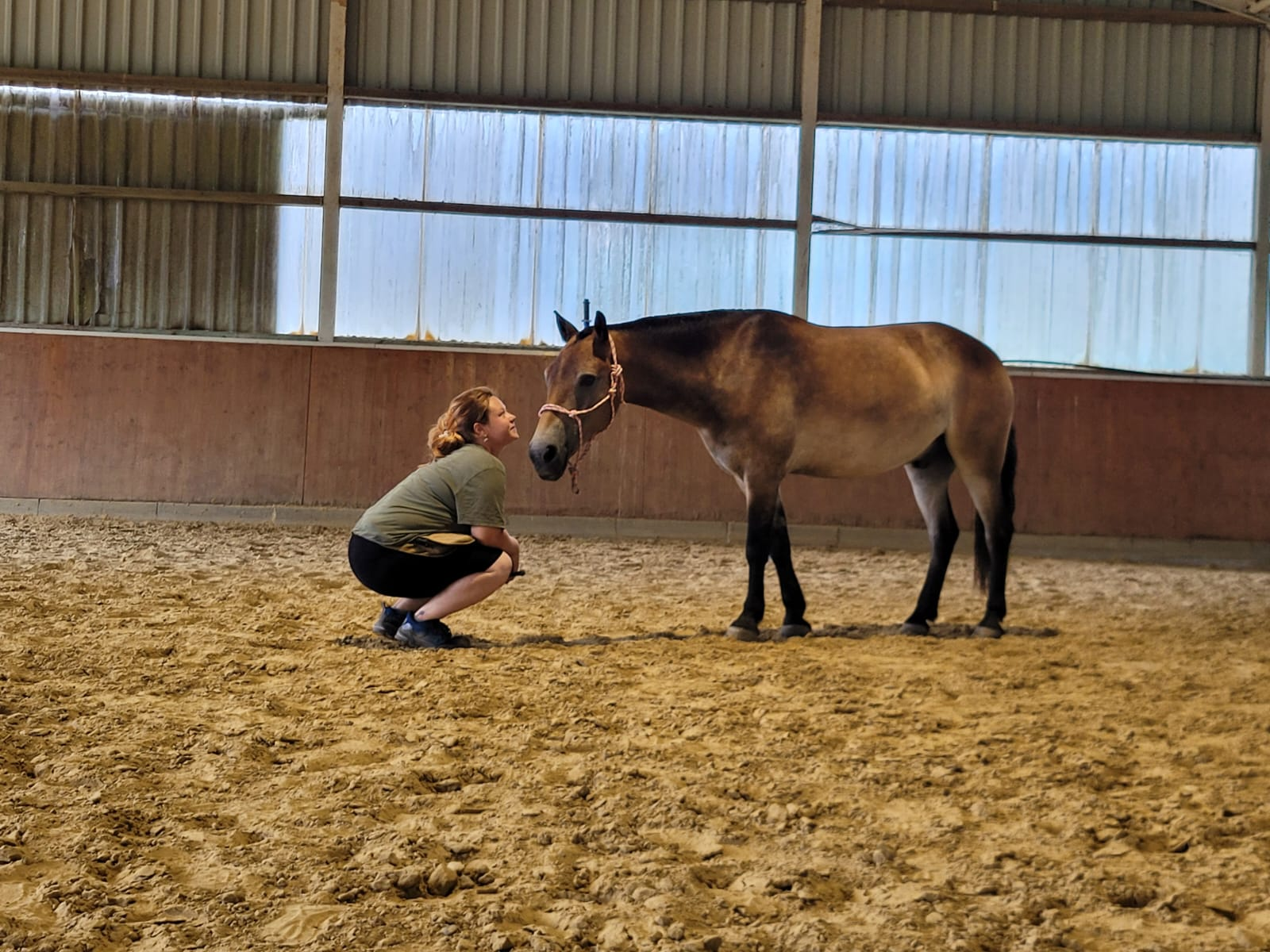 Philo auf Augenhöhe mit Splendid in der Halle