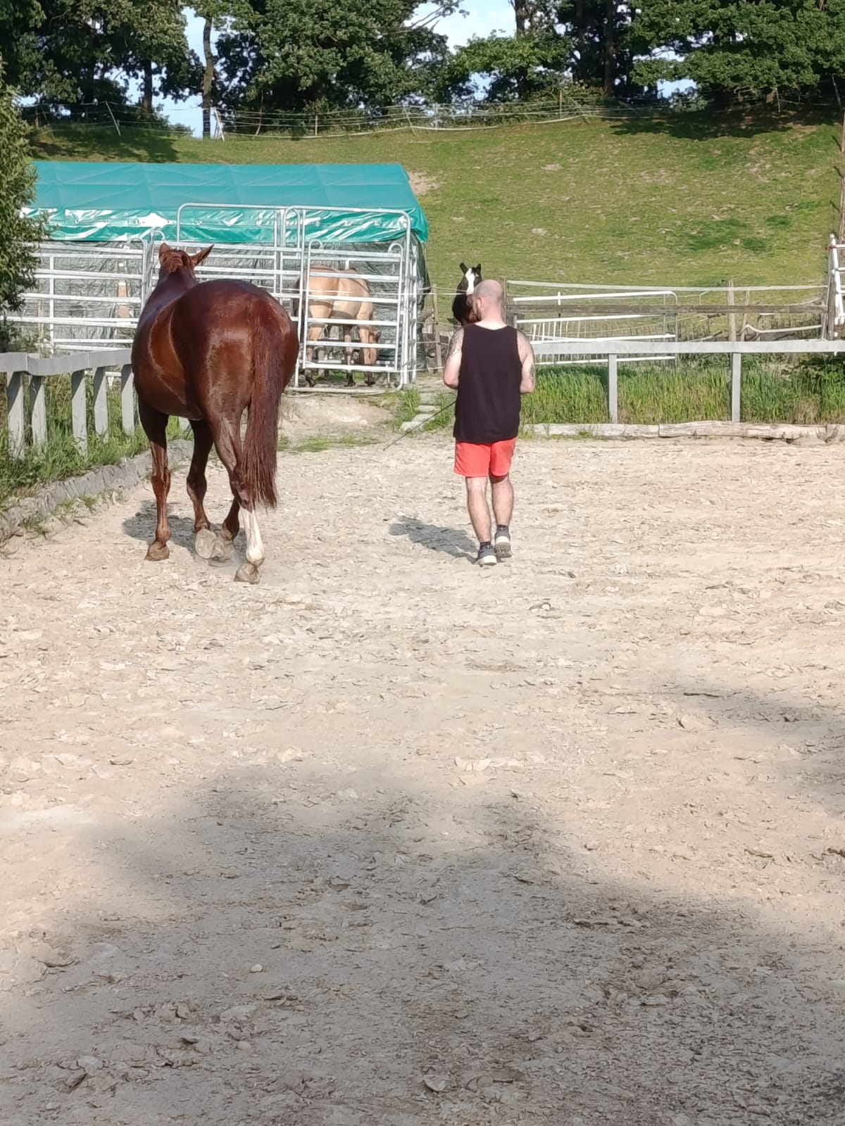 Freiarbeit