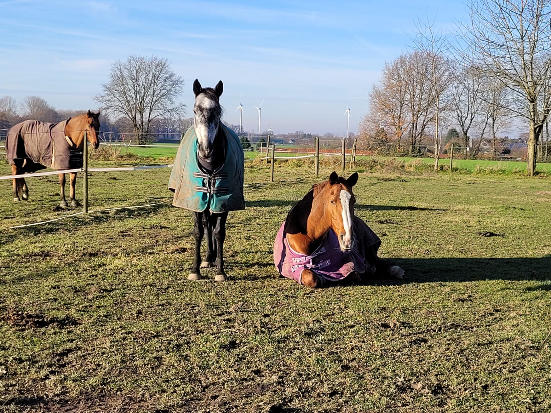 Wintersonne