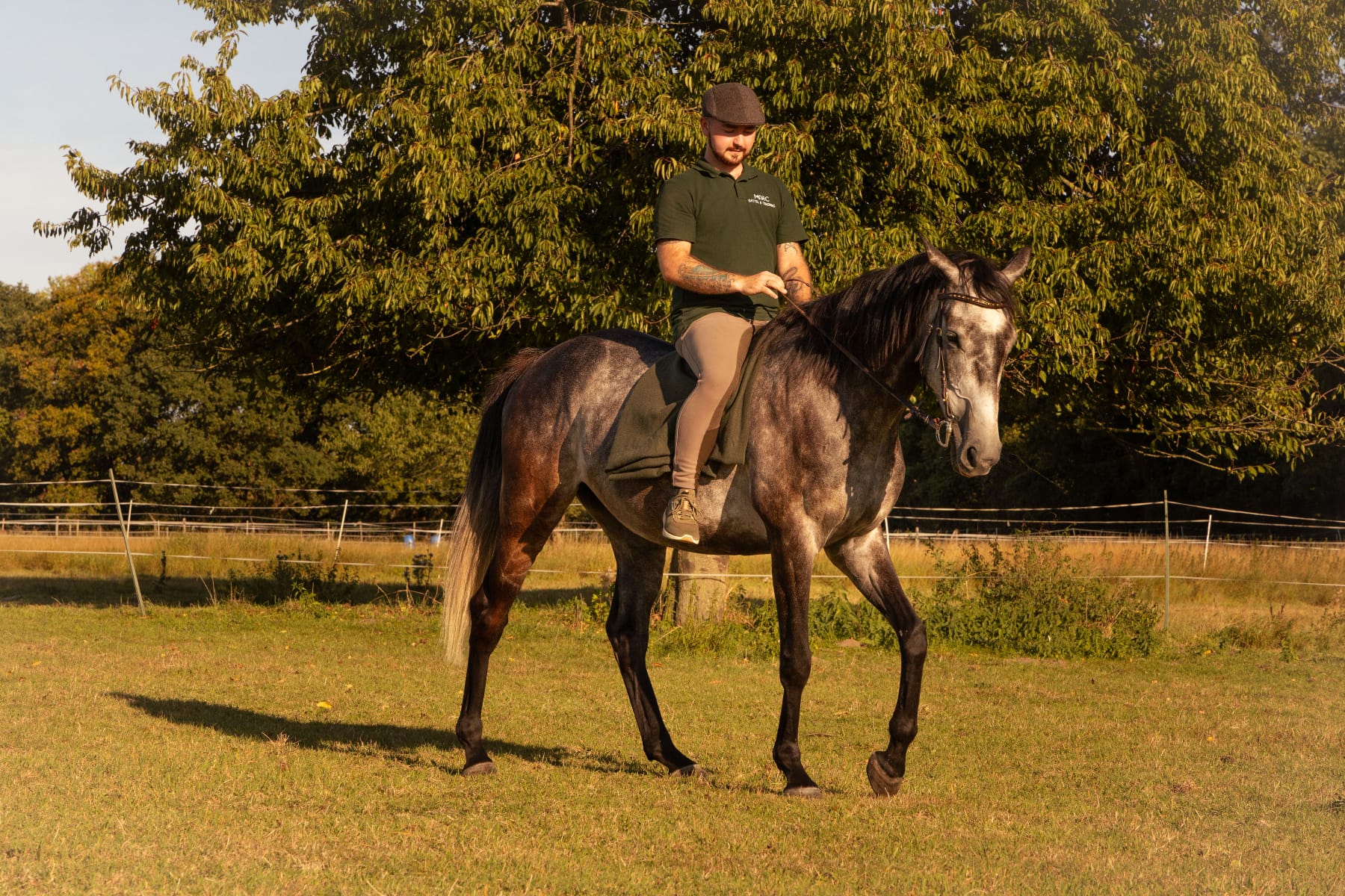 Reiten im Abendlicht