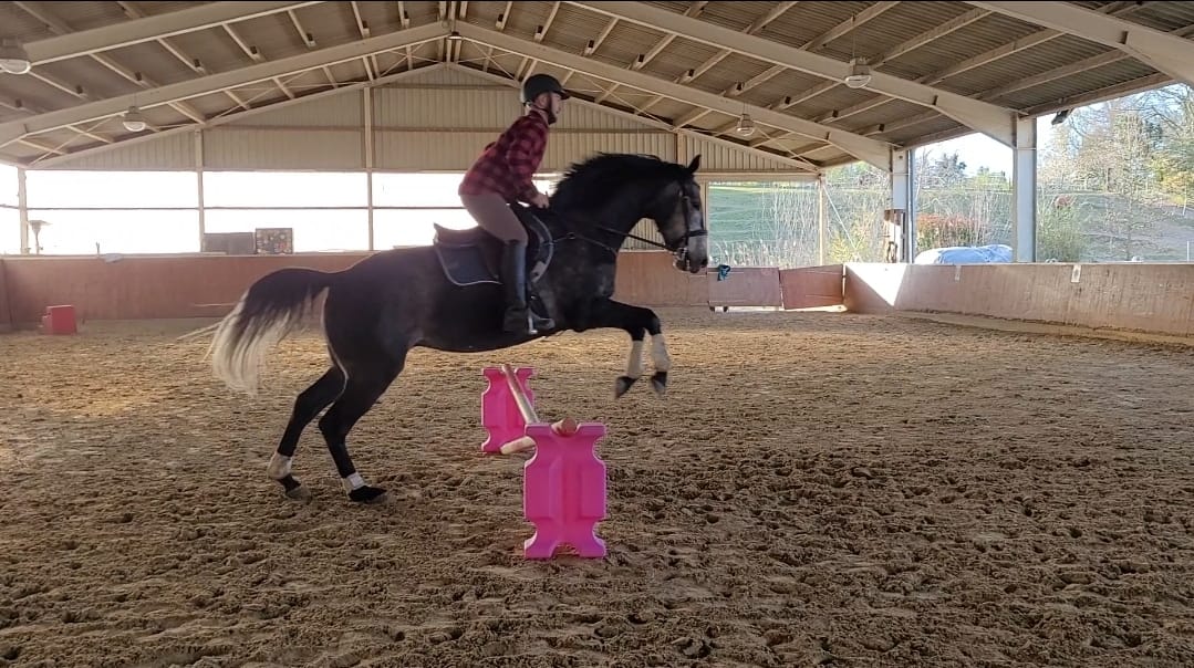 Freies Training