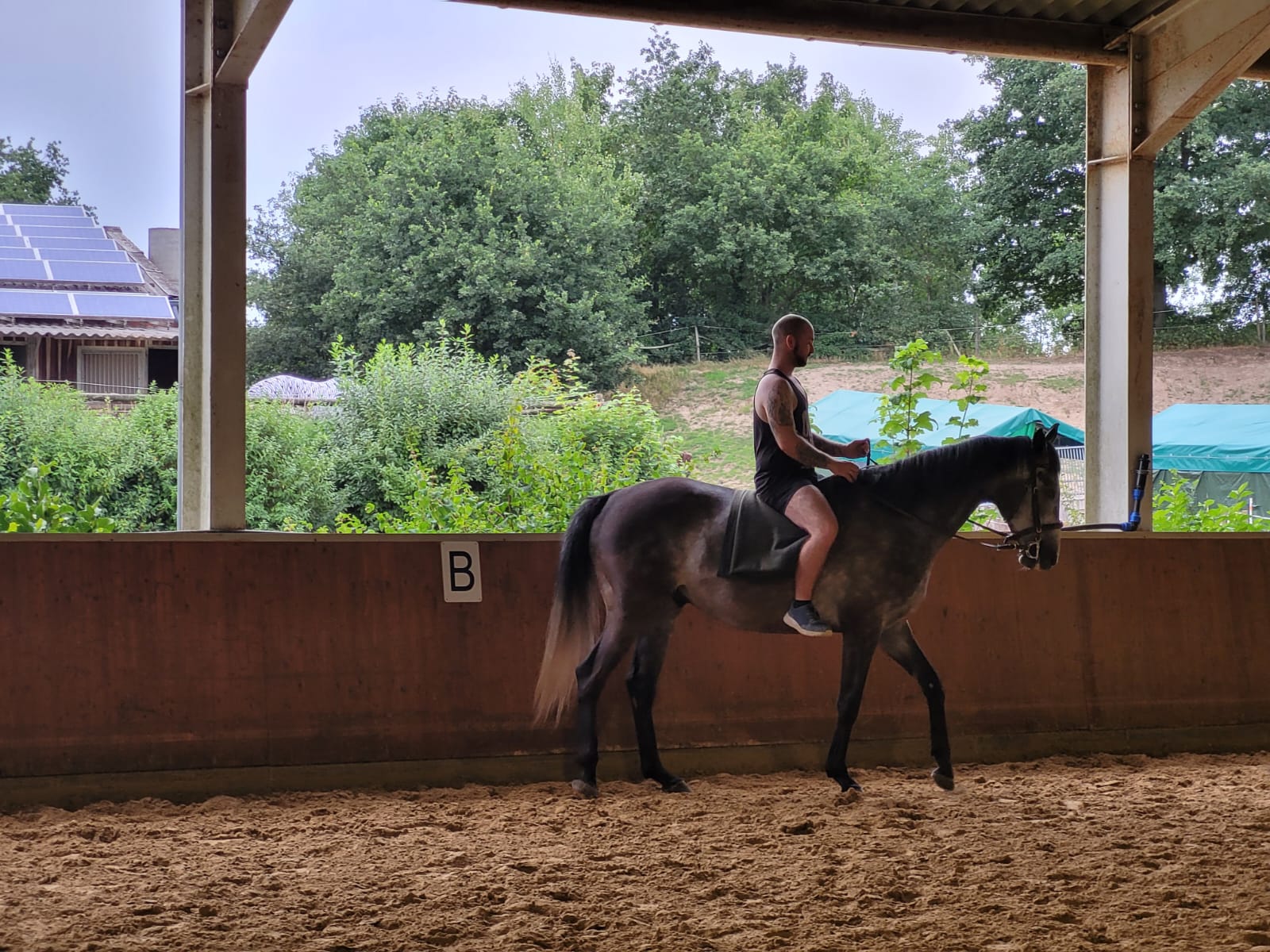 Reiten ohne Sattel